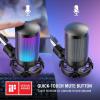 imageFIFINE Gaming PC USB Microphone Podcast Condenser Mic with Boom Arm Pop Filter Mute Button for Streaming Twitch Online Chat RGB Computer Mic for PS45 PC Gamer YoutuberAmpliGame A6TBlack